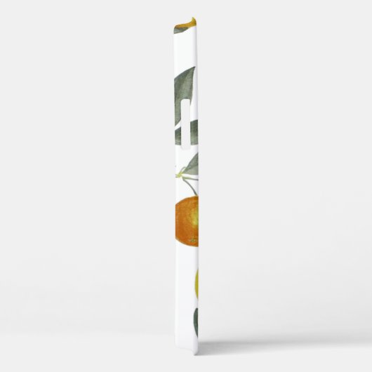 Sinaasappels en citroenen Case-Mate iPhone case (Achterkant / Rechts)