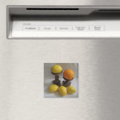 Sinaasappels en citroenen magneet (Insitu (Vaatwasser))