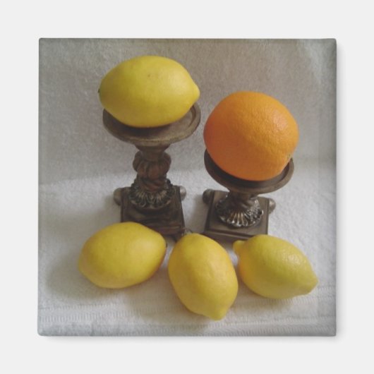 Sinaasappels en citroenen magneet (Voorkant)