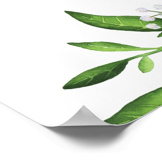 Sinaasappels en Graefruits Vrijgezellenfeest Welko Poster (Hoek)