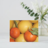 Sinaasappels en luiers briefkaart (Staand voorkant)