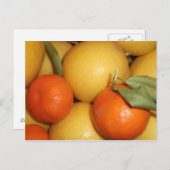 Sinaasappels en luiers briefkaart (Voorkant / Achterkant)
