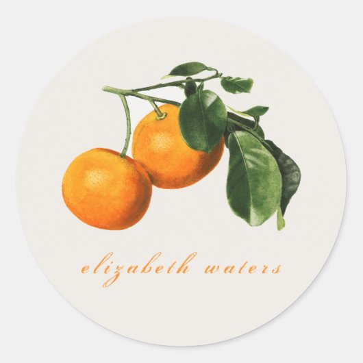 " SINAASAPPELS" ENVELOPE SEAL RONDE STICKER (Voorkant)