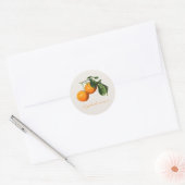 " SINAASAPPELS" ENVELOPE SEAL RONDE STICKER (Envelop)