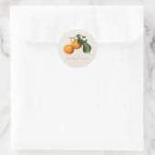 " SINAASAPPELS" ENVELOPE SEAL RONDE STICKER (Tas)