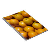Sinaasappels fruit Florida markt sinaasappel Notitieboek (Rechterzijde)