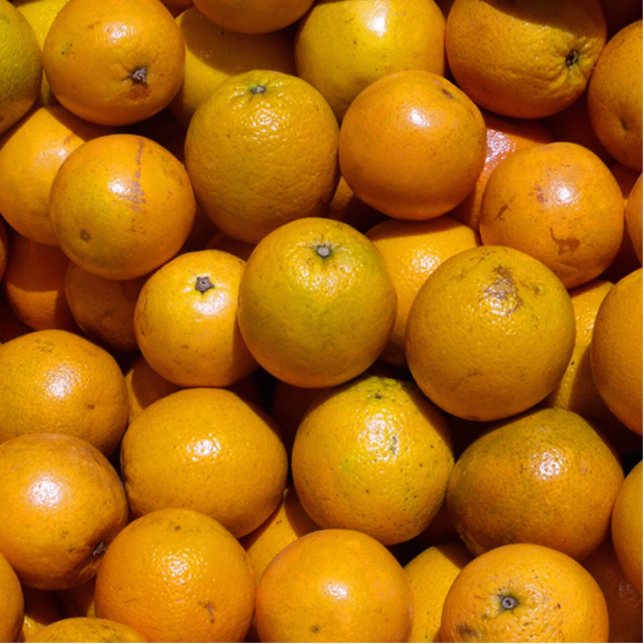 Sinaasappels fruit Florida markt sinaasappel Staand Fotobeeldje (Voorkant)