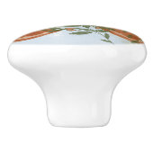 Sinaasappels Greenery Keramische Knop (Zijkant)