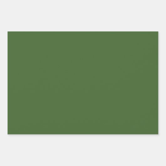 Sinaasappels, groene bladeren en witte bloemen inpakpapier vel (Voorkant 2)