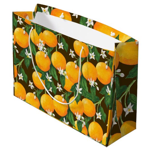Sinaasappels Groot Cadeauzakje (Achterkant Gekanteld)