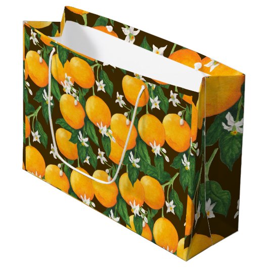 Sinaasappels Groot Cadeauzakje (Voorkant Gekanteld)
