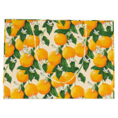 Sinaasappels Groot Cadeauzakje (Achterkant)