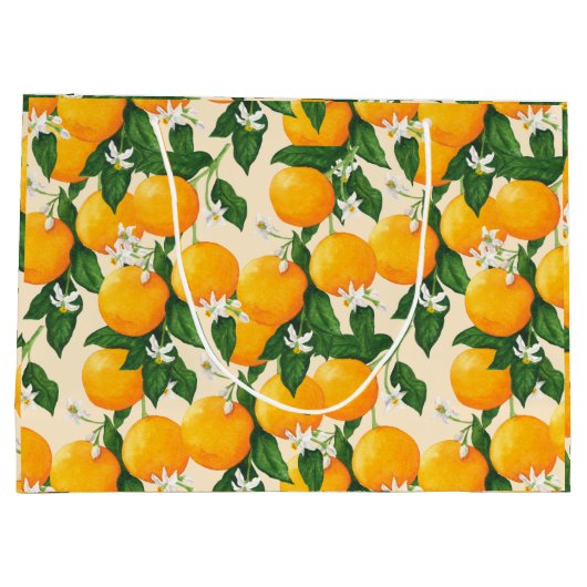 Sinaasappels Groot Cadeauzakje (Achterkant)