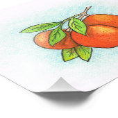 Sinaasappels Illustratie Foto afdrukken (Hoek)