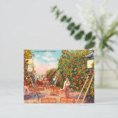  Sinaasappels in Florida Briefkaart (Staand voorkant)