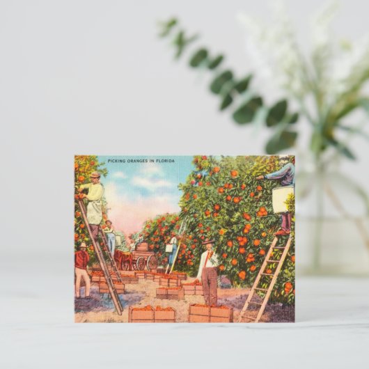  Sinaasappels in Florida Briefkaart (Staand voorkant)