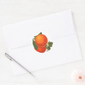 Sinaasappels Krat Art Sjabloon Ronde Sticker (Envelop)