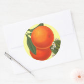 Sinaasappels  Krat Art Sticker (Envelop)