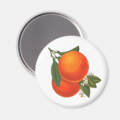 Sinaasappels  krat kunstmagneet magneet (Voorkant / Achterkant)