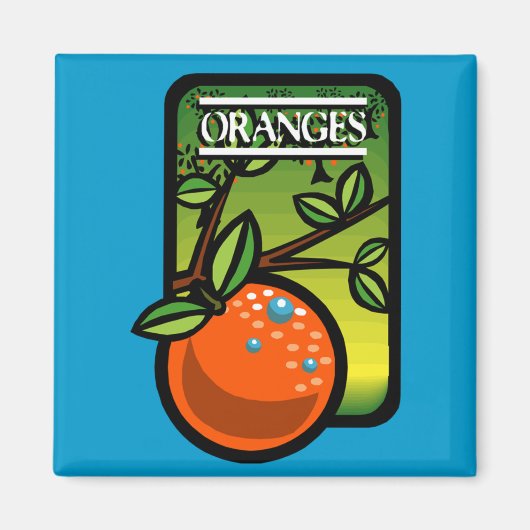 Sinaasappels Magneet (Voorkant)
