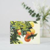 Sinaasappels op een Branch Winslow Homer Fine Art  Briefkaart (Staand voorkant)