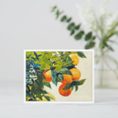 Sinaasappels op een Tak door Winslow Homer Briefkaart (Staand voorkant)