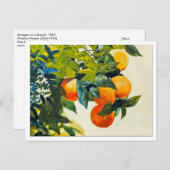 Sinaasappels op een Tak door Winslow Homer Briefkaart (Voorkant / Achterkant)