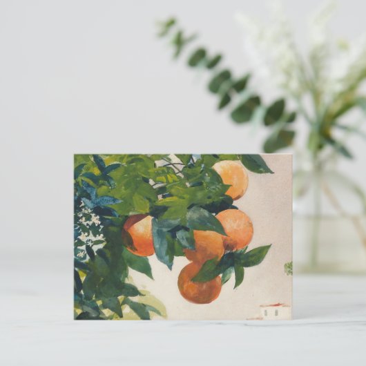 Sinaasappels op een tak | Winslow Homer Briefkaart (Staand voorkant)