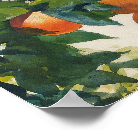 Sinaasappels op een tak | Winslow Homer Poster (Hoek)
