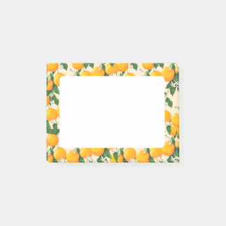 Sinaasappels Post-it® Notes