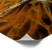 SINAASAPPELS POSTER (Hoek)