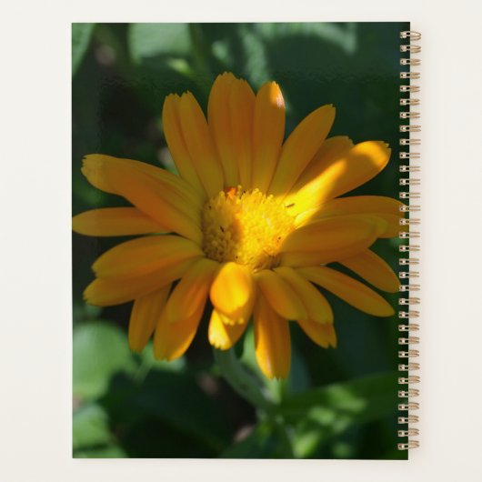 Sinaasappels potje goudsbloem gepersonaliseerd planner (Achterkant)