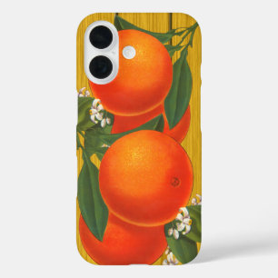 Sinaasappels Retro Fruitkrat Art iPhone 16 Hoesje