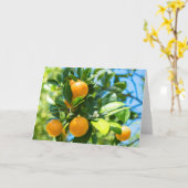 Sinaasappels roteren kaart (Gele Bloem)