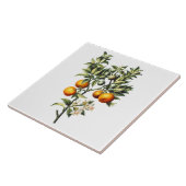  Sinaasappels Tegeltje (Zijkant)