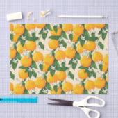 Sinaasappels Tissuepapier (Craft)