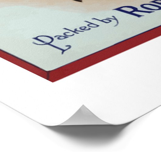 Sinaasappels van delta-merken poster (Hoek)