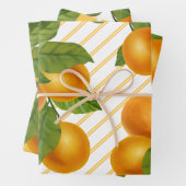 Sinaasappels van verse citrusvruchten: waterverf l inpakpapier vel (In situ)