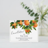 Sinaasappels Verzendkaart annuleren Briefkaart (Staand voorkant)