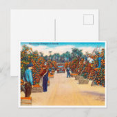  Sinaasappels voor het oogsten in Florida Revel Briefkaart (Voorkant / Achterkant)