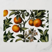  Sinaasappels voor Typografie Folie Feestdagenkaart (Achterkant)