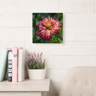 Sinaasbloemfotografie, Canadese Chrysanthemum Vierkante Klok