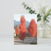 Sinaasbomen in de herfst briefkaart (Staand voorkant)