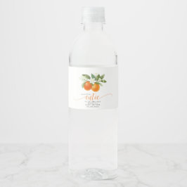 Sinaasjeugdige Citrus Op Komst Baby Shower Waterfles Etiket