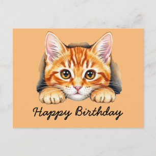 Sinaaspoes Tabby kat Felicitaties Briefkaart