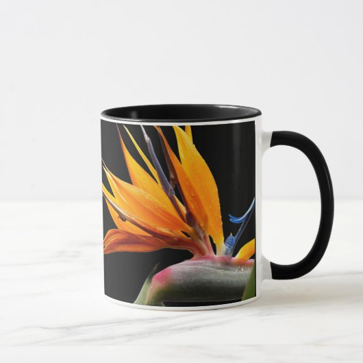 Sinaasvogel van Paradijsplant op Zwart Mok (Rechts)