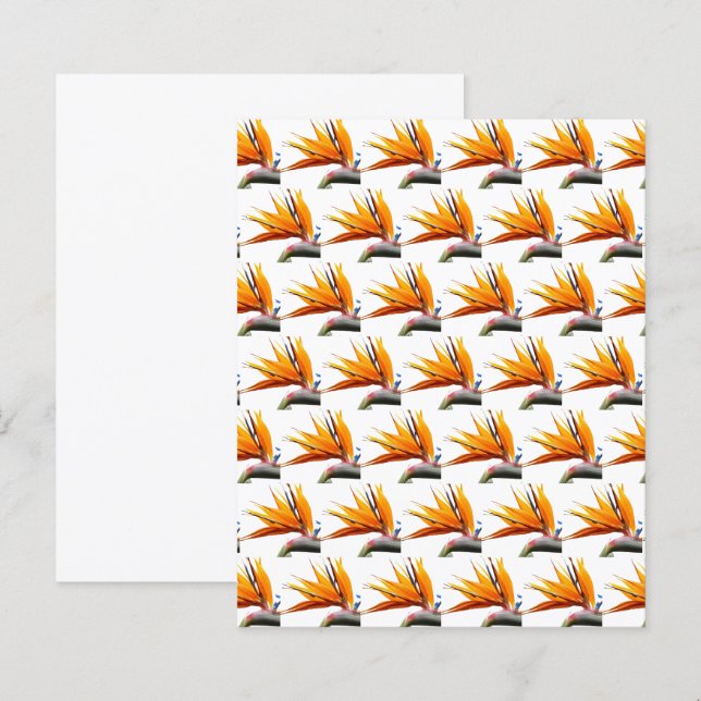 Sinaasvogelparadijspatroon op wit papier (Voorkant / Achterkant)