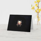 Sinaaswielwebspin Kaart (Gele Bloem)