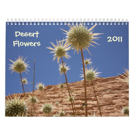 Sinai Desert Flowers Kalender (Hoes)