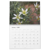 Sinai Desert Flowers Kalender (Jan 2027)
